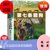 版第七条猎狗 沈石溪 动物小说全套第七条猎犬小学生课外阅读书籍中国少年儿童出版社三四五六