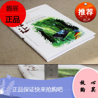 久石让钢琴作品精选集曲集 宫崎骏经典流行日本动漫动画钢琴曲集曲谱书 菊次郎的夏天天空之城千与千寻幽灵