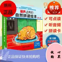 丽声北极星自然拼读绘本第二级12册绘本+1套拼读卡丽声自然拼读教材 幼儿少儿英语分级阅读绘本 扫码听
