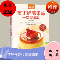 布丁奶酪果冻一次就成功/食在好吃 甜点制作入门教程 甜食做法教材 制作工具介绍 美食食谱书籍大全 做