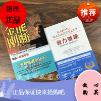 能断金刚-超凡的经营智慧(《当和尚遇到钻石》十周年增订版)+ 业力管理(新版)共2册麦克·罗奇格西