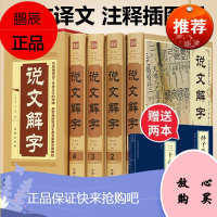 精装4册 说文解字原版许慎 语言文字图解说文解字段玉裁注部首通论说文解字详解部首咬文嚼字中华藏书局文