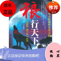 狼行天下 君子著 沈阳出版社