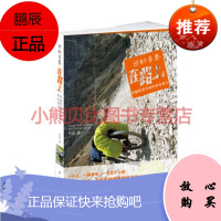 我的青春在路上郑盛中西书局