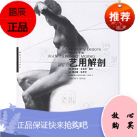 艺用解剖(向大师学绘画) (美)罗伯特·贝弗利·黑尔,特伦斯·科伊尔,中国青年出版社