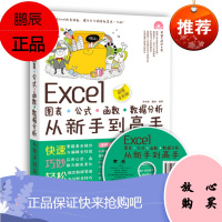 Excel图表 公式 函数 数据分析从新手到高手 专著 罗晓琳,魏艳编著 Excel
