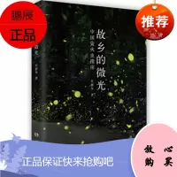 故乡的微光 付新华著