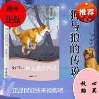 狗与狼的传说/沈石溪十二生肖动物小说 2021暑期推*读物