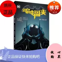 蝙蝠侠 零年 秘密之城
