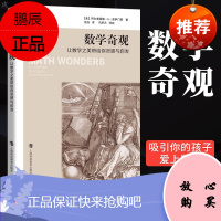 数学奇观让数学之美带给你灵感与启发