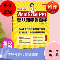 Word Excel PPT办公应用从新手到高手