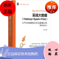 正版 实战大数据(Hadoop+Spark+Flink)——从平台构建到交互式数据分析(离线/实时