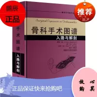 骨科手术图谱入路与解剖