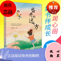 盛开的远方孟宪明著6-9-12岁小学生一二三年级课外必阅读讲述留守儿童童年成长正能量的文学书