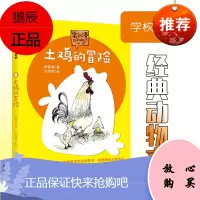 常新港动物励志小说土鸡的冒险三四五年级小学生课外阅读故事书籍