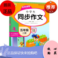 小学生同步作文五年级上册 王冬娣 著 小蜜蜂作文 小学5年级语文同步训练辅导书籍 小学生作文写作指导