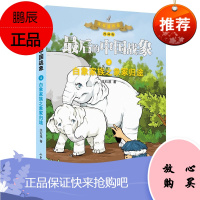 最后的中国战象4白象家族之象冢归途 沈石溪作品漫画版 儿童文学 名家动物小说 动物的故事 大陆漫画书