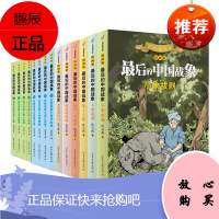 最后的中国战象系列14册 白象家族4册+宝牙母象4册+老象恩仇记+象群的征途+小象拔刺+大象巡警等