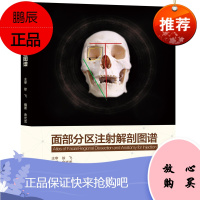 面部分区注射解剖图谱 金光龙 著 医学知识普及读本 外科学书籍 面部分层解剖知识讲解 临床医学