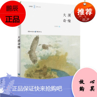 大漠奇缘 汪玥含蓝翅膀系列小说 汪玥含青春观察系列 童书中国儿童文学 青春幻想小说 少儿文学课外读物