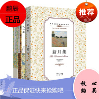 双语名著无障碍阅读丛书4册 新月集/飞鸟集/泰戈尔抒情诗选/一个孩子的诗园 诗歌中英对照双语阅读