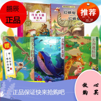 [冰波童话作品集5册]月光下的秋千/月光下的肚肚狼/红蜻蜓/长颈鹿拉拉/蓝鲸的眼睛 少儿课外书