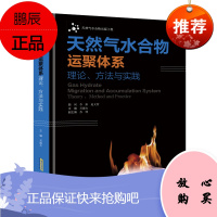 天然气水合物运聚体系理论方法与实践 吴能友 天然气水合物 潜在替代性能源 工业技术 石油天然气工业书