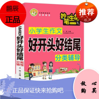 小学生作文好开头好结尾分类辅导 小蜜蜂作文 让孩子学会创作的作文书 3-6年级学生语文作文写作指导书