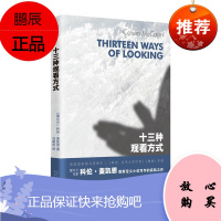 十三种观看方式 爱尔兰作家科伦麦凯恩实验性较强短篇小说集 中篇 短篇 伤害真相和解 外国小说书籍