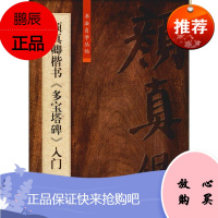 颜真卿楷书《多宝塔碑》入门 柯国富 著 书法自学丛帖 书法爱好者学习临摹用书 古代书法名家作品解析