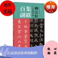 柳公权 玄秘塔碑 集联百副 中国历代经典碑帖集联系列 柳体楷书集字对联临摹范本 书法学习者读物 书籍