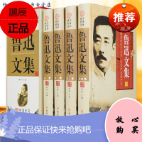 鲁迅文集 图文珍藏版杂文小说散文 鲁迅全集 中华书局 人民文学出版社 中古现代当代文学名著 狂人日记