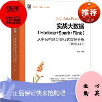 实战大数据:Hadoop+Spark+Flink:从平台构建到交互式数据分析:离线 实时