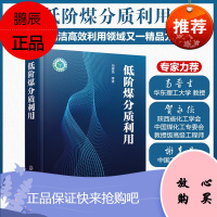 低阶煤分质利用 低阶煤特性分质利用概念与发展现状 低温煤焦油热解气热解半焦分质利用技术原理