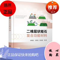 二维层状蛭石复合功能材料 纳米功能材料层状功能材料性质应用 复合功能材料层状功能材料概述