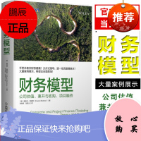 财务模型公司估值兼并与收购项目融资财务建模书籍财务模型与估值财务模型风险分析企业财务预算模型评估企业