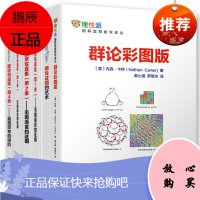 数学写真集 第1-第3季无需语言的证明+直观思考的进阶几何与代数+组合证明的艺术+群论彩图版
