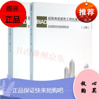 BIAD超限高层建筑工程抗震设计汇编(上下册)北京市建筑设计研究院 中国建筑工业出版社 不规则高建