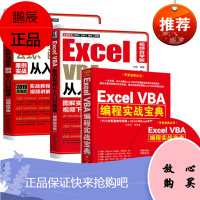 Excel VBA编程实战宝典(含光盘) 表格入门技巧 案例实战从入门到精通Excel公式、函数