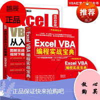 Excel VBA编程实战宝典+Excel VBA案例实战从入门到精通两册套装 文员办公