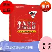 京东平台店铺运营从入门到精通(第2版)