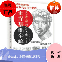 素描基础全解：从石膏五官到石膏人像灌木文化绘画9787115444073 素描技法普通大众