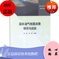 深水油气地震成像研究与实践常旭工业技术9787030401854 油气勘探地震勘探