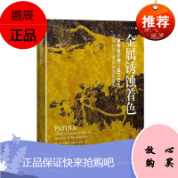 金属锈蚀着色 : 为首饰设计师与金工匠人呈现300+缤纷的色彩效果马修·伦福拉艺术978754784