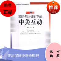 国际多边机制下的中美互动袁征 政治/军事9787516171158 中美关系研究