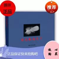 羽毛飘扬天下威利·施密特·利布工业技术9787566917973 羽毛产业发展研究普通大众