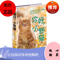 你好，小野猫安德鲁·布卢姆菲尔德文学9787515825779 传记文学美国现代普通大众