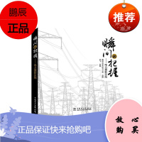 瞬间的把握:电力摄影实践王飞工业技术9787512399877 新闻摄影摄影技术