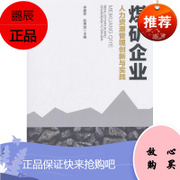 煤矿企业人力资源管理创新与实践李善祥管理9787516418123 煤矿企业人力资源管理