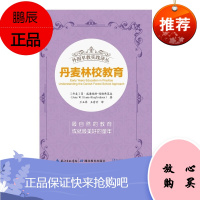 外国早教实践译丛 丹麦林校教育 简威廉姆斯-西格弗莱森 兰玉萍 儿童自创性游戏 育儿家教 家教理论